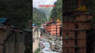 ॥गंगोत्री यमुनोत्री धाम॥trending ganga shortvideo nature chardhamyatra gangariver 🙏🙏 [upl. by Aynna781]