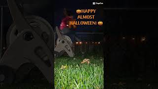 JUMPSSShobbyhorsejumphalloween [upl. by Linnea]