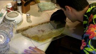 How to Cut Comb Honey [upl. by Inglebert541]