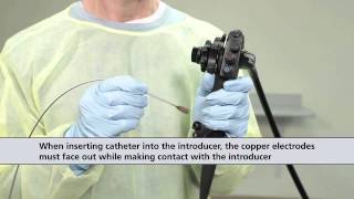 Barrx™ Channel RFA Endoscopic Catheter Procedure Animation [upl. by Papert]