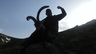 2 Gredos Ibex  1 Iberian Mouflon🏆 Spanish Hunting Adventure [upl. by Kcir]