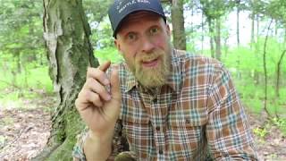 Ferro Rod Pro Tips and Tricks from Survival Instructor and Certified Badass Dan Wowak [upl. by Anidem]