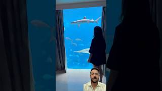 Dubai hotel room under water  Luxury hotel in Dubai shorts hotel aquarium dubai travel beach [upl. by Inahpets]