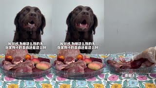 Smart Pitbull Mukbang Ep6 [upl. by Suivatco198]