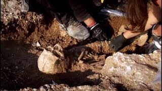 Digging for Britain 2of4 Prehistory Documentary [upl. by Inness]