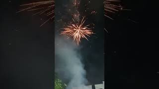 Zamindari Restaurant Diwali 🎇 Celebration Vizag [upl. by Hinman914]