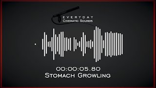 Stomach Growling  HQ Sound Effects [upl. by Kraska]