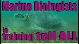 Marine Biologists in Training Tell ALL [upl. by Sapienza459]