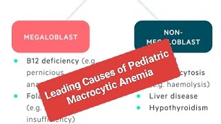 Leading Causes of Pediatric Macrocytic Anemia [upl. by Notaes62]