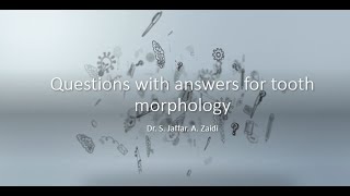 Questions with answers for tooth morphology part 1 [upl. by Luna648]