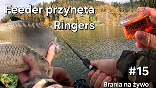 Feeder przynęta Ringers 15 fishing carpfishing [upl. by Asoral895]