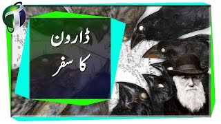 Origin of Species Urdu Hindi [upl. by Strephon]