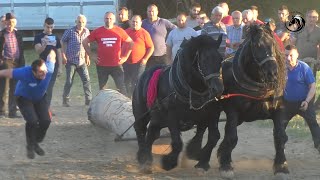 MAKS I SOKO DUCELJE DOMINANTNI NA TEŠKOJ BUKVI MAGLAJACA [upl. by Noira]