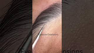 Eyebrow Extensions Instantly grow your eyebrows 🤎 [upl. by Arza150]