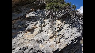 Einführung in die Welt der Natur und Elementarwesen von Gisela Hüppi [upl. by Hoy]