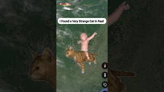 Giant Cat In Real Found On Google Earth And Map shorts findmapsecret [upl. by Ecniv949]