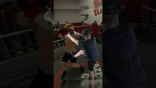 The Thrill of The Fight Perfect Boxing Technique mixedreality [upl. by Nnarefinnej390]