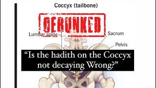 Hadith on the Coccyx Not decaying Explained [upl. by Leavelle]