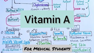 VitaminA  Absorption Transport Function Deficiency Manifestations amp Therapeutic Use [upl. by Anilegna312]