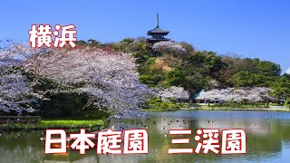 【横浜】日本庭園 三渓園 国指定名勝 Sankeien Garden [upl. by Ahsla]