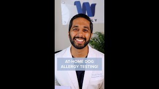 How to Do Dog Allergy Testing at Home [upl. by Hagen]