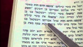 Maftir Reading Lech Lecha Rabbi Weisblum קריאת מפטיר לך לך הרב ויסבלום [upl. by Eirelav]