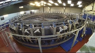 Dairymaster  Innovation in Agriculture Sky TV [upl. by Fowle822]