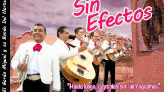 Sin Efectos — quotLinóleoquot cover of NOFX quotLinoleumquot [upl. by Alaecim]