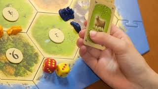 Catan The Video Essay Edition [upl. by Gemperle242]