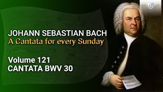 JS Bach Freue dich erlöste Schar BWV 30  The Church Cantatas Vol 121 [upl. by Ion108]