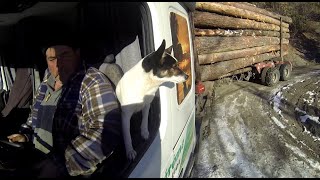 Chauffeurs de Grumier sur la neige  Franck et son Chien MÉTIER DE LEXTRÊME [upl. by Allayne843]