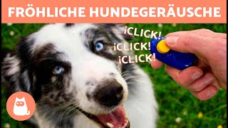 GERÄUSCHE die HUNDE LIEBEN 🐶🔊 Reagiert dein HUND auf diese GERÄUSCHE [upl. by Philemon]