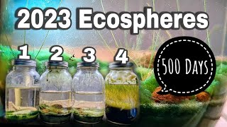 1 Year Ecosphere Update Incremental Improvement [upl. by Ginelle]