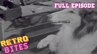 Lassie  Tartan Queen  Full Episodes 🐕 [upl. by Roel]