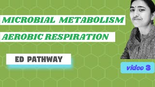 RESPIRATION II AEROBIC RESPIRATION II ED PATHWAY [upl. by Asiret86]