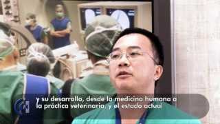 Manual de Técnicas Endoluminales y Radiología Intervencionista en Veterinaria [upl. by Hashum]