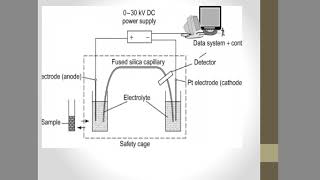 Electro osmotic flow [upl. by Winer780]