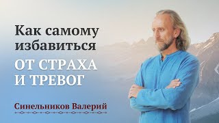 Как пройти свой жизненный путь без страха и тревог Валерий Синельников [upl. by Yemac]