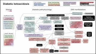 Diabetic ketoacidosis mechanism of disease [upl. by Mohkos]