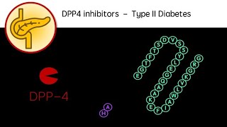 DPP4 Inhibitors  Type 2 Diabetes revision video GCSE A Level University Sitagliptin Saxagliptin [upl. by Pavel]