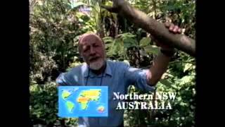 Permaculture One Bill Mollison [upl. by Turley]