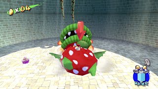 Down With Petey Piranha  Super Mario Sunshine [upl. by Tamis]