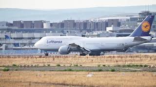 Frankfurt Flughafen Plane Spotting am Aussichtspunkt Zeppelinheim [upl. by Allehcram]