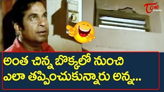 Brahmanandam Comedy Scenes  Telugu Movie Comedy Scenes  TeluguOne [upl. by Reifel]