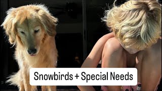 Snowbirds amp Special Needs [upl. by Lizzie]