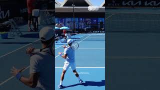 Forehand Compilation  Novak Djokovic Slow Motion Back View 2 Shorts [upl. by Yllitnahc472]