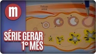 Série Gerar 1 O primeiro mês de gravidez  Mulheres [upl. by Kcirrem]