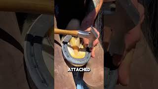 Do Horseshoes HURT Horses 🤨santafefarrier [upl. by Dorita]