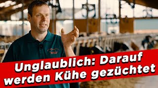 Unglaublich Darauf werden Kühe gezüchtet  My KuhTube Film 874 [upl. by Silberman]