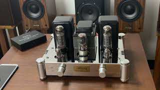 REISONG Boyuu A10 EL34 Tube Amphifi music tube el34 [upl. by Demeyer360]